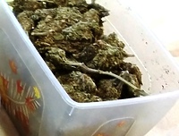 Zatrzymany za posiadanie marihuany