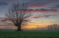 Miłosz na Żuławach w projekcie "Grobla"