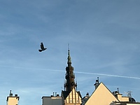 Jest sobota, jest quiz. Z lotu ptaka