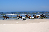 "Bezpieczny aktywny wypoczynek". Konkurs filmowo- fotograficzny