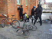 51. Elbląski Alleycat