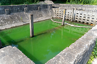 Zielona woda w zbiorniku przy ulicy Grażyny