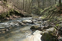 Zielonym szlakiem