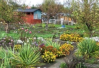 Złodziejska plaga na działkach