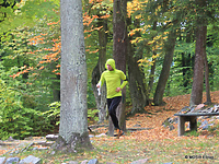 Złota Polska Jesień z mapą w Bażantarni