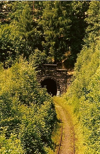 Złoty pociąg czy złoty sen? Przekonaj się dziś w Kawiarence Clio