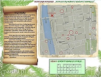 Znajdź kwiat paproci