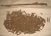 Kolekcjoner stanie przed sądem