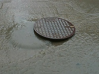 "Znikają" studzienki