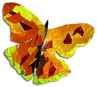 Projekt Motyl