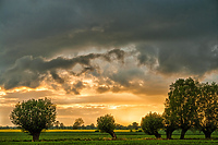 Żuławy na fotografii i grafice