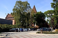 Warsztaty dla organistów i chórzystów