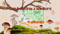 Grzybobranie z leśnikami