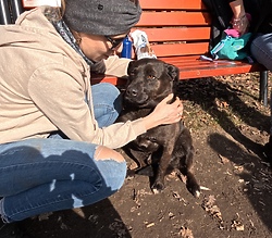 Przed nami kwietniowy Bieg na 6 łap