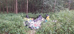 Wywiózł śmieci do lasu, namierzyły go służby