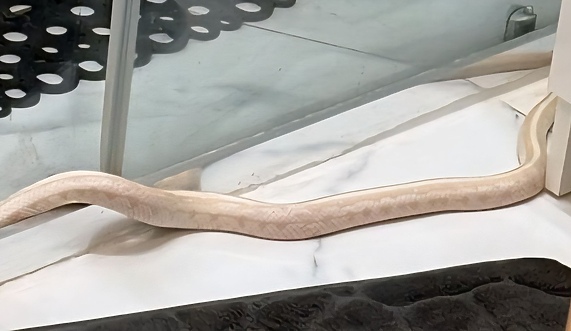 Czas na quiz. Co się działo w marcu?