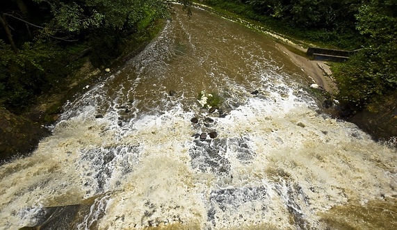 Czas na quiz. Czekając na wiosnę Czas na quiz. Czekając na wiosnę