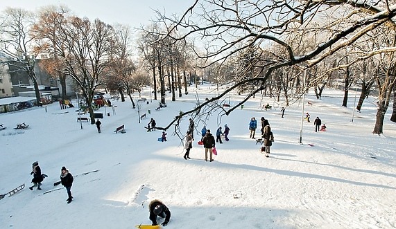 Czas na quiz, o tym i o tamtym Czas na quiz, o tym i o tamtym
