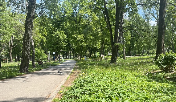 Czas na quiz. Spacerem po parkach