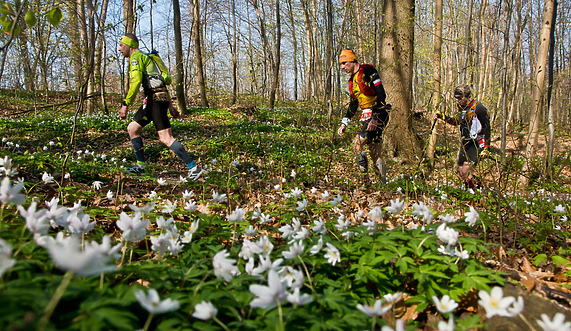 Elbląska impreza w Koronie Polskich Ultramaratonów Elbląska impreza w Koronie Polskich Ultramaratonów