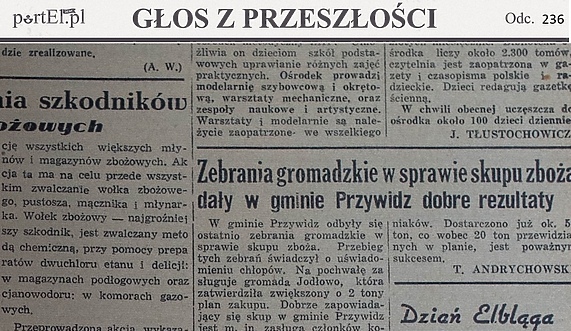 Wołek zbożowy - najgroźniejszy szkodnik 