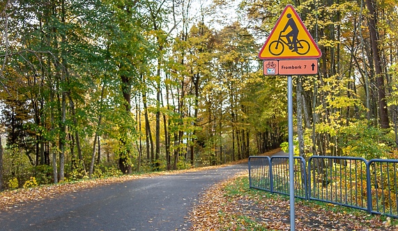 Kamery policzą rowerzystów Kamery policzą rowerzystów