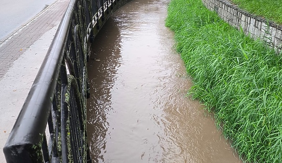 Kumiela znów wysoko