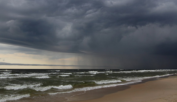 Ludzkie przedramię na plaży