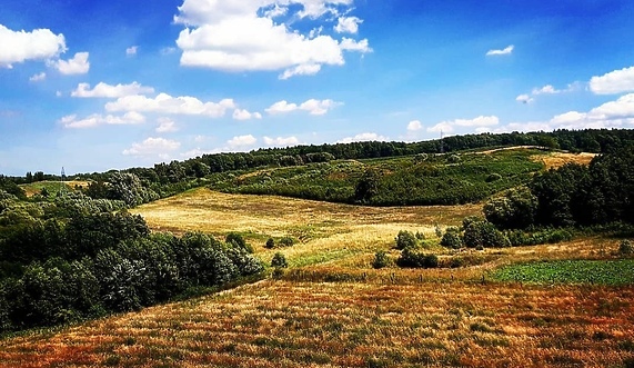 Sześć nowych rezerwatów przyrody Sześć nowych rezerwatów przyrody