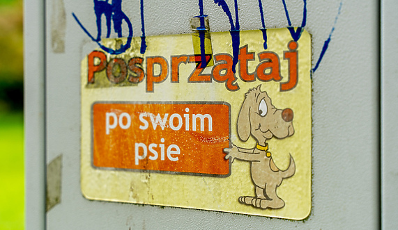 Śnieg stopniał, wstyd pozostał 