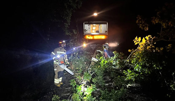 Szynobus uderzył w drzewo leżące na torach
