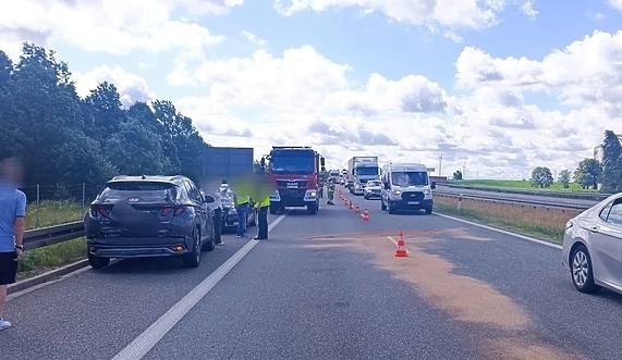 Trzy samochody zderzyły się na S7. Do kolizji przyczynił się łabędź
