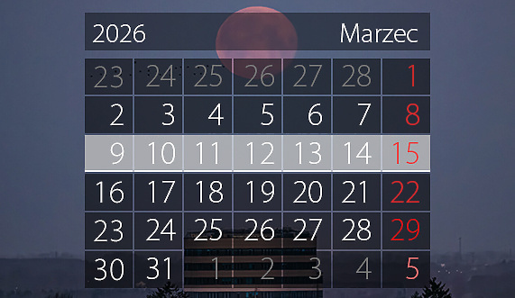 W tym tygodniu portEl poleca: wernisaż, biegi i basen