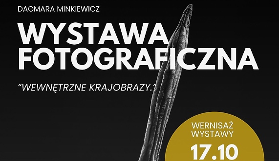 Wewnętrzne krajobrazy Dagmary Minkiewicz