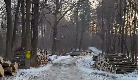 Czytelnik: najpierw piła, potem refleksja?