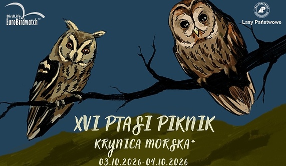 XVI Ptasi Piknik w Krynicy Morskiej
