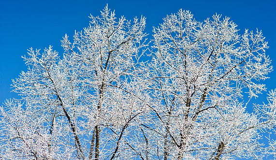 Za to natura słono zapłaci Za to natura słono zapłaci