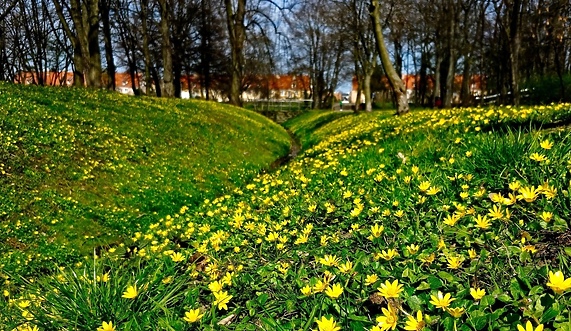 Miasto gra w zielone