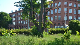 Industrialny Elbląg: Rowerowa wyprawa historyczna Industrialny Elbląg: Rowerowa wyprawa historyczna