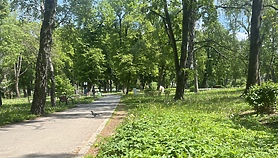 Czas na quiz. Spacerem po parkach Czas na quiz. Spacerem po parkach