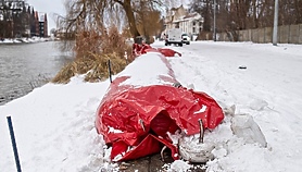 Czas na quiz. Temat: sprawy bieżące