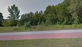 5 hektarów pod młotek na Modrzewinie