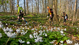 Elbląska impreza w Koronie Polskich Ultramaratonów Elbląska impreza w Koronie Polskich Ultramaratonów