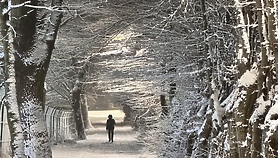 W objęciach zimy Fotką Miesiąca
