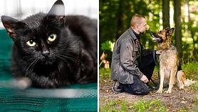 Galeria pod psem i kotem 