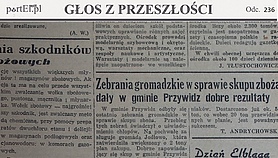 Wołek zbożowy - najgroźniejszy szkodnik 