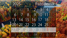W tym tygodniu portEl poleca: Animacje, pokaz w teatrze i Requiem Mozarta