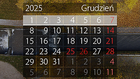 W tym tygodniu portEl poleca: festiwal filmowy i jarmark świąteczny