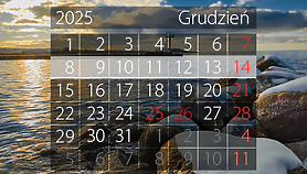 W tym tygodniu portEl poleca: warsztaty, wernisaż i kiermasz W tym tygodniu portEl poleca: warsztaty, wernisaż i kiermasz