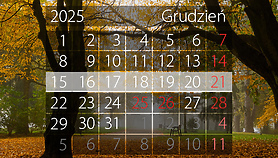 W tym tygodniu portEl poleca: Teatr, świąteczne spotkanie i tańce W tym tygodniu portEl poleca: Teatr, świąteczne spotkanie i tańce